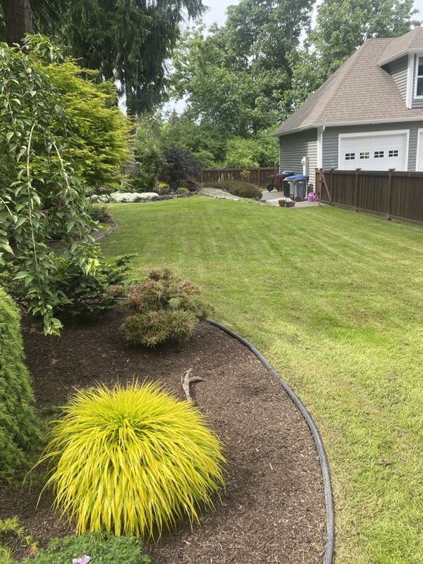 Freshly mowed lawn with edged, mulched garden beds